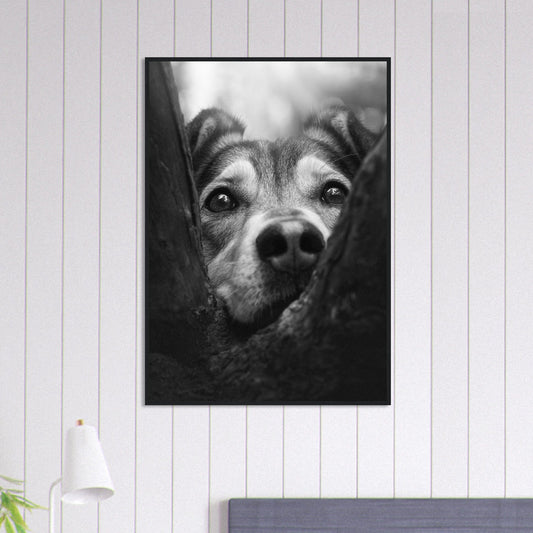 Canvanation Print Material 70x100 cm / 28x40″ Tableau Photo Noir Et Blanc-Animaux-Chien