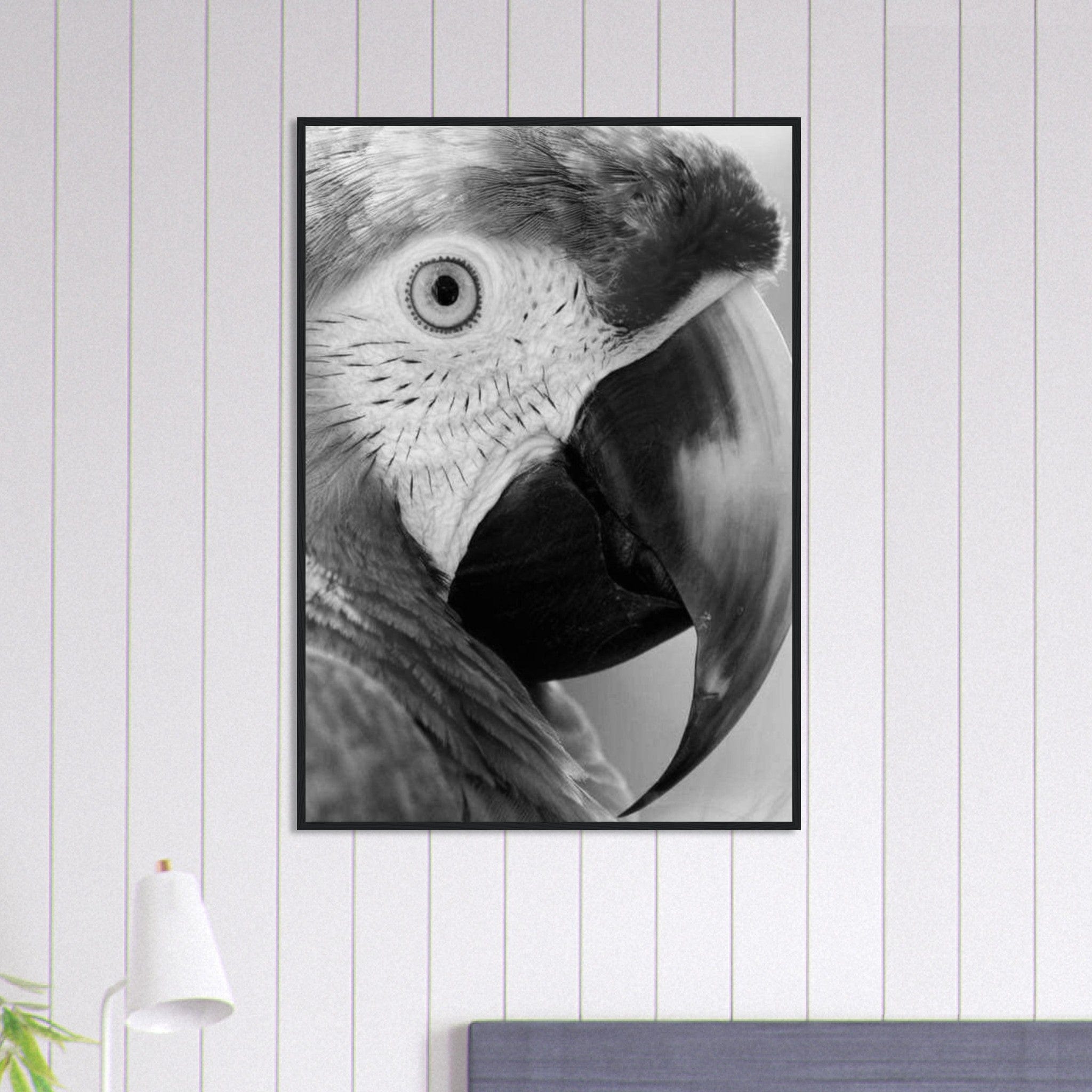 Canvanation Print Material 70x100 cm / 28x40″ Tableau Photo Noir Et Blanc-Animaux-Perroquet