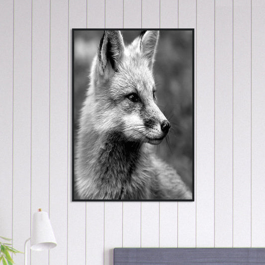 Canvanation Print Material 70x100 cm / 28x40″ Tableau Photo Noir Et Blanc-Animaux-Renard
