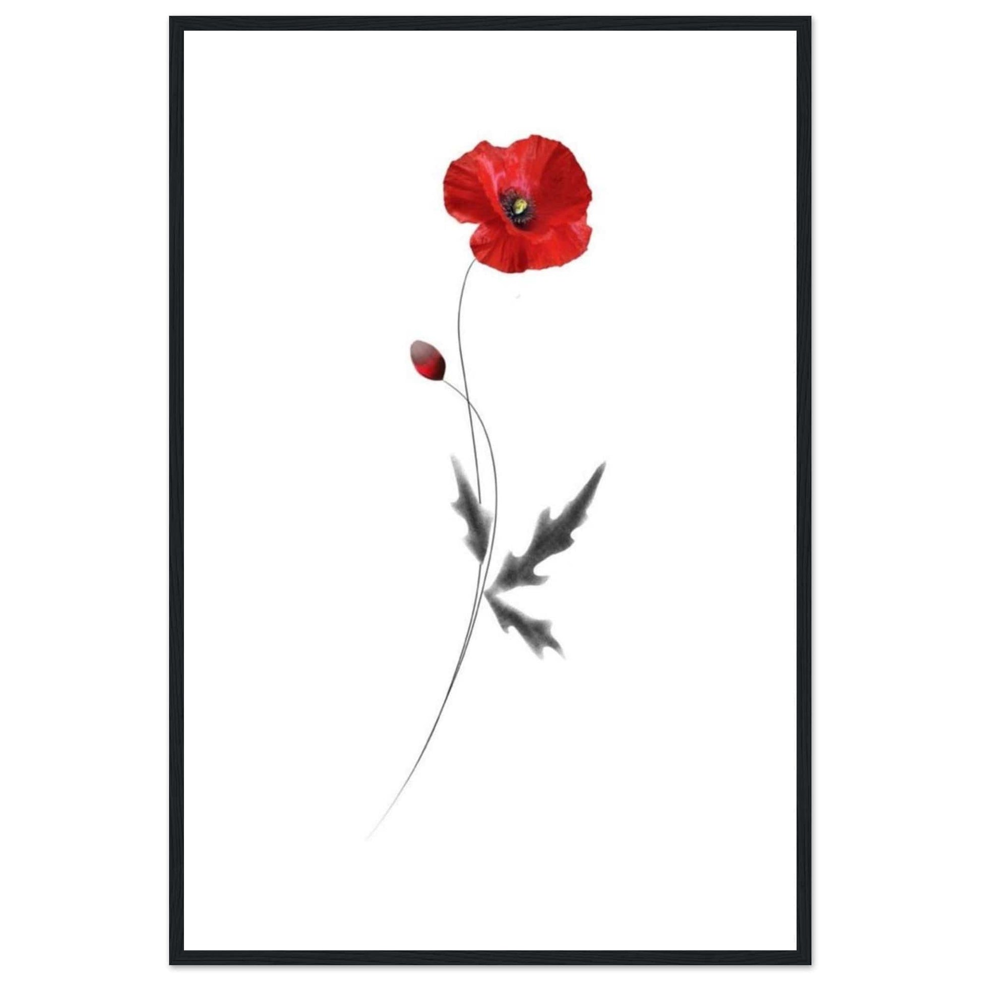 Canvanation Print Material Peinture Coquelicot Abstrait