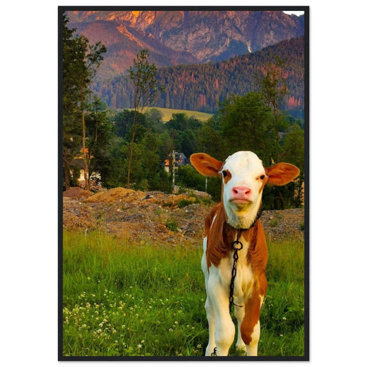 Canvanation Print Material 70x100 cm / 28x40″ Tableau De Vache Moderne