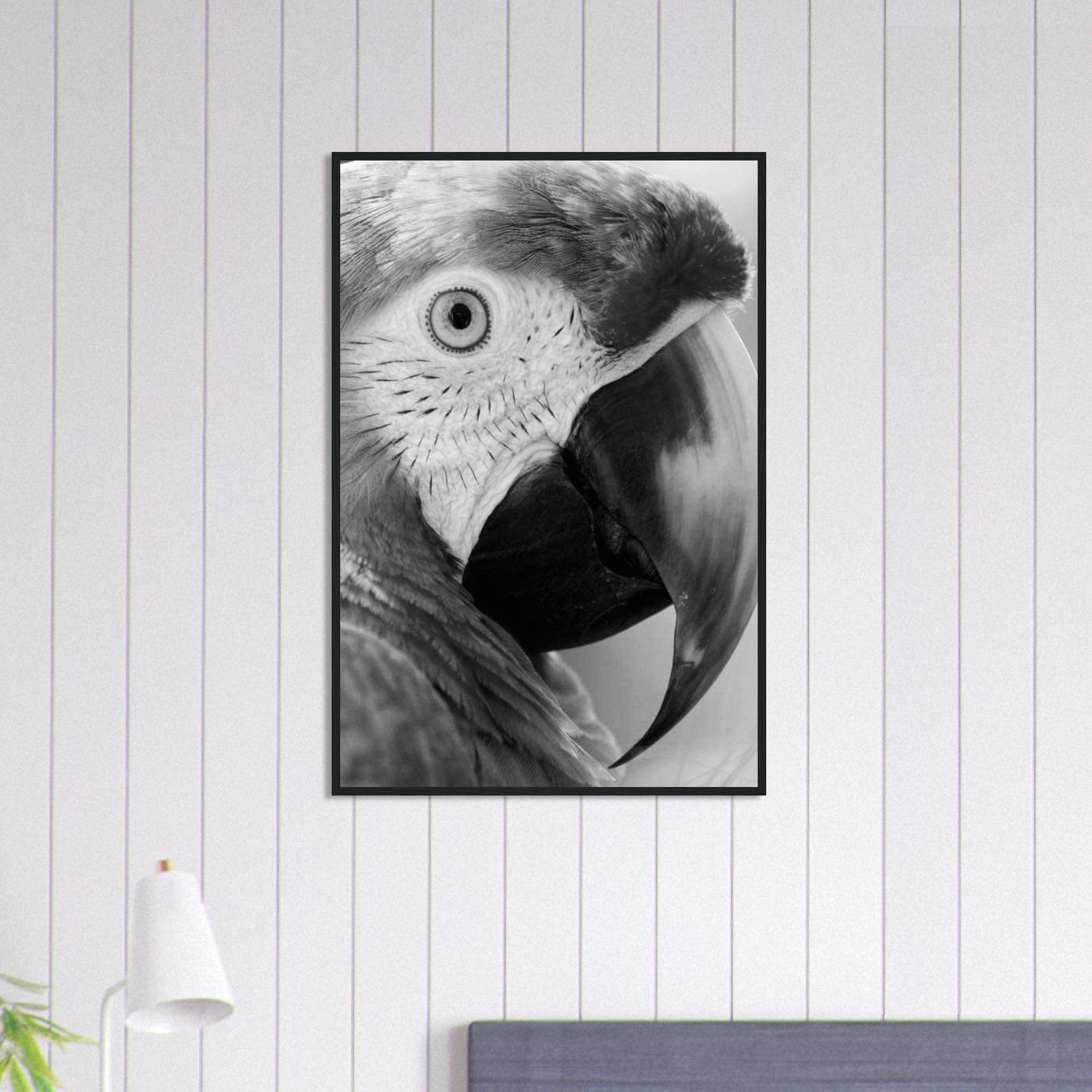 Canvanation Print Material 60x90 cm / 24x36″ Tableau Photo Noir Et Blanc-Animaux-Perroquet