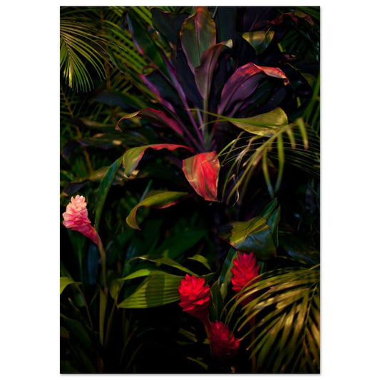Gelato Print Material A0 (84.1 x 118.9  cm) Poster Jungle