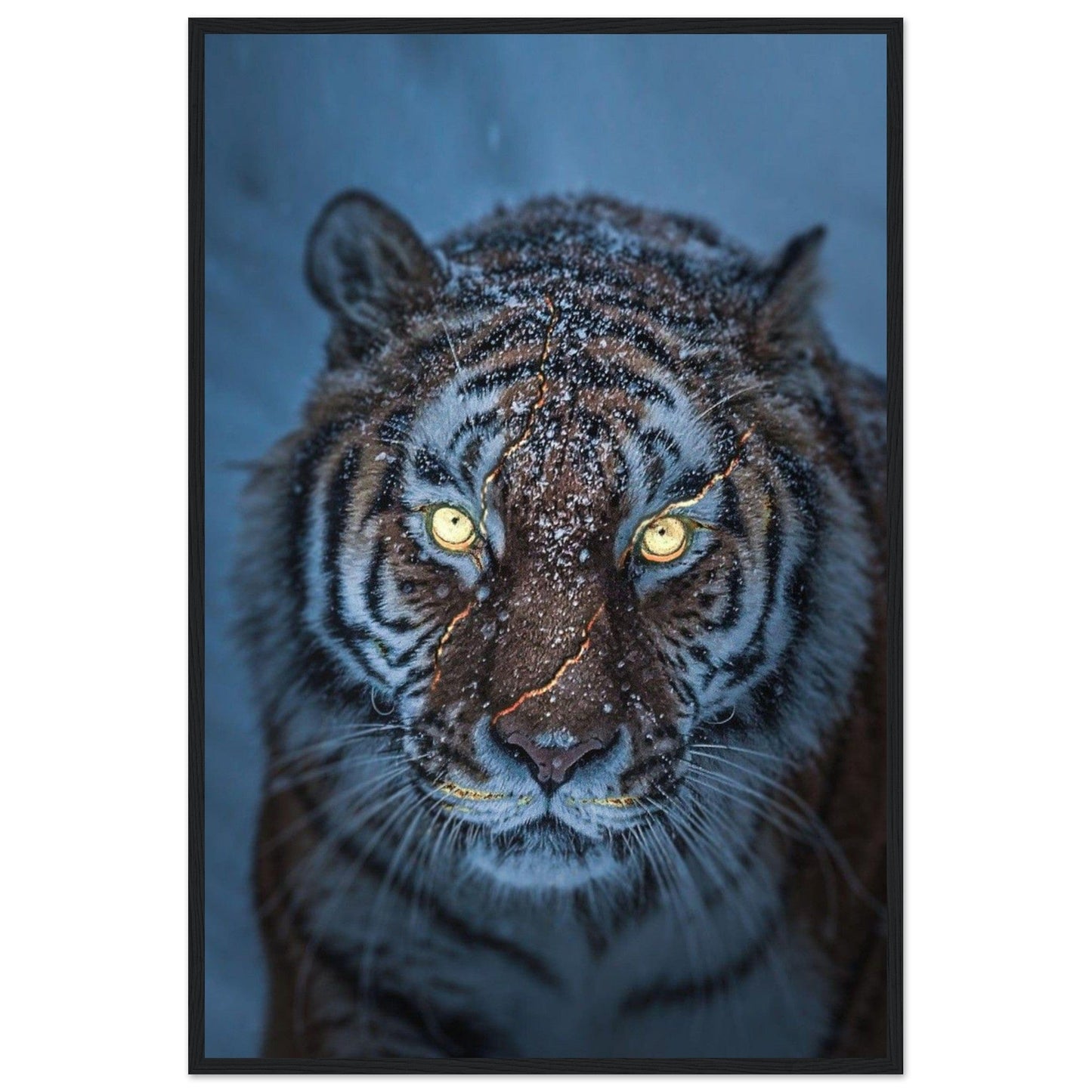 Canvanation Print Material 60x90 cm / 24x36″ Tableau Tigre Neige