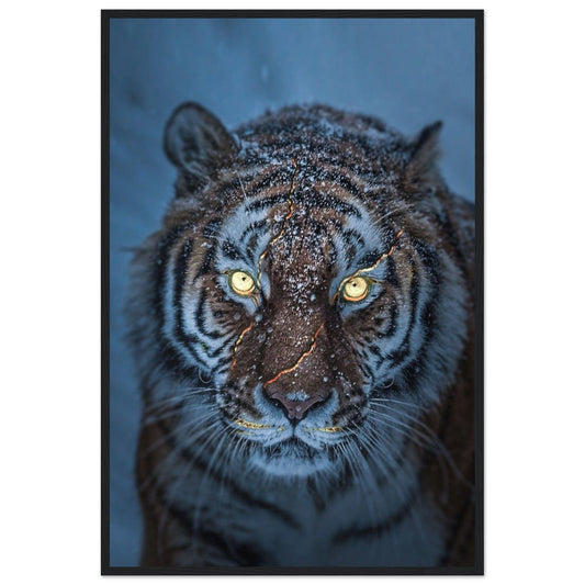 Canvanation Print Material 60x90 cm / 24x36″ Tableau Tigre Neige
