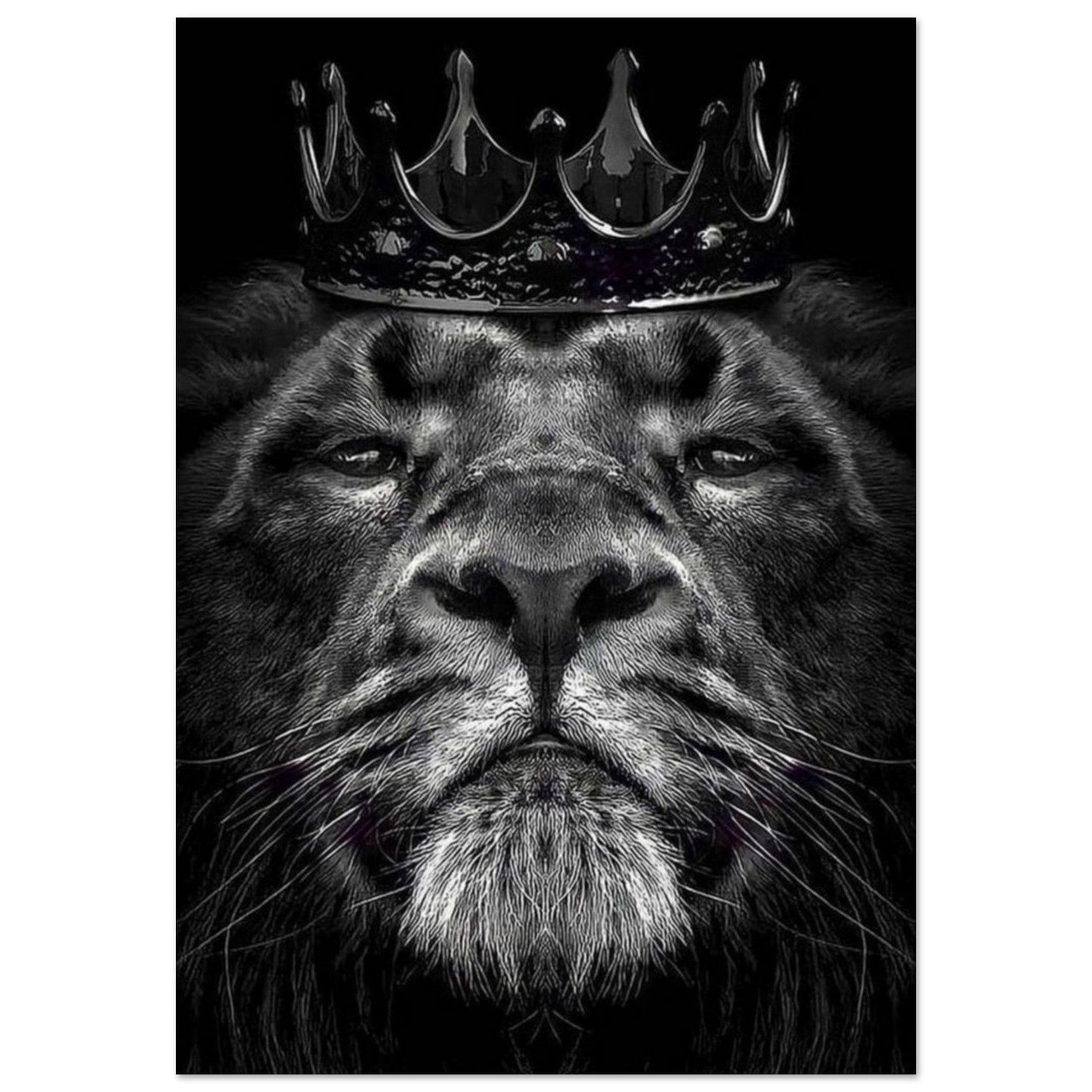 Canvanation Print Material 70x100 cm / 28x40″ Poster Lion Courrone Noir Et Blanc