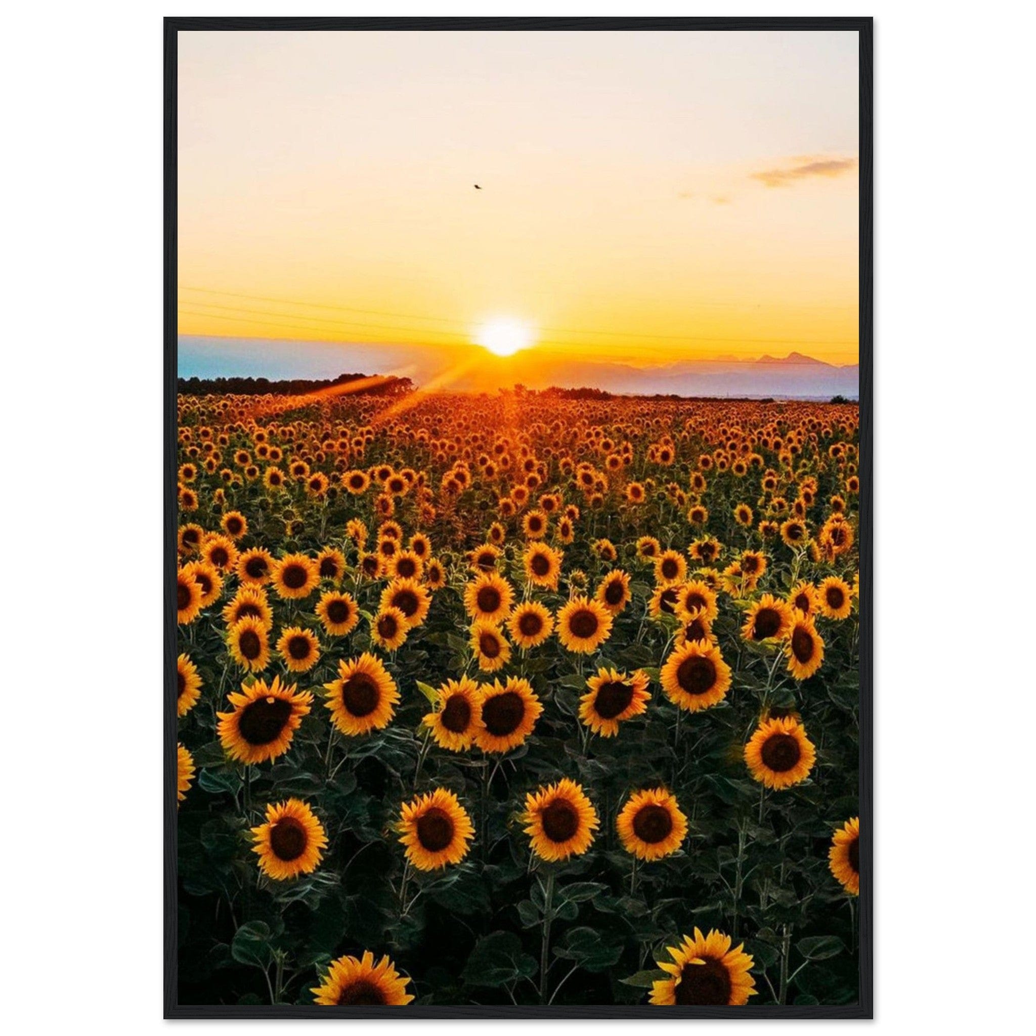 Gelato Print Material 70x100 cm / 28x40″ Peinture Tournesol Monet