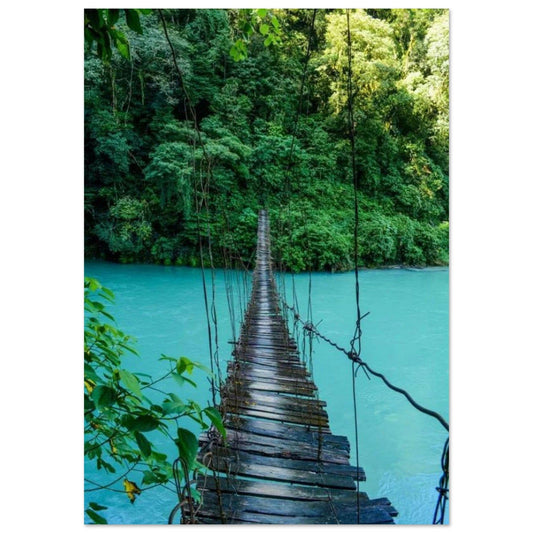 Gelato Print Material A0 (84.1 x 118.9  cm) Affiche Jungle Pont
