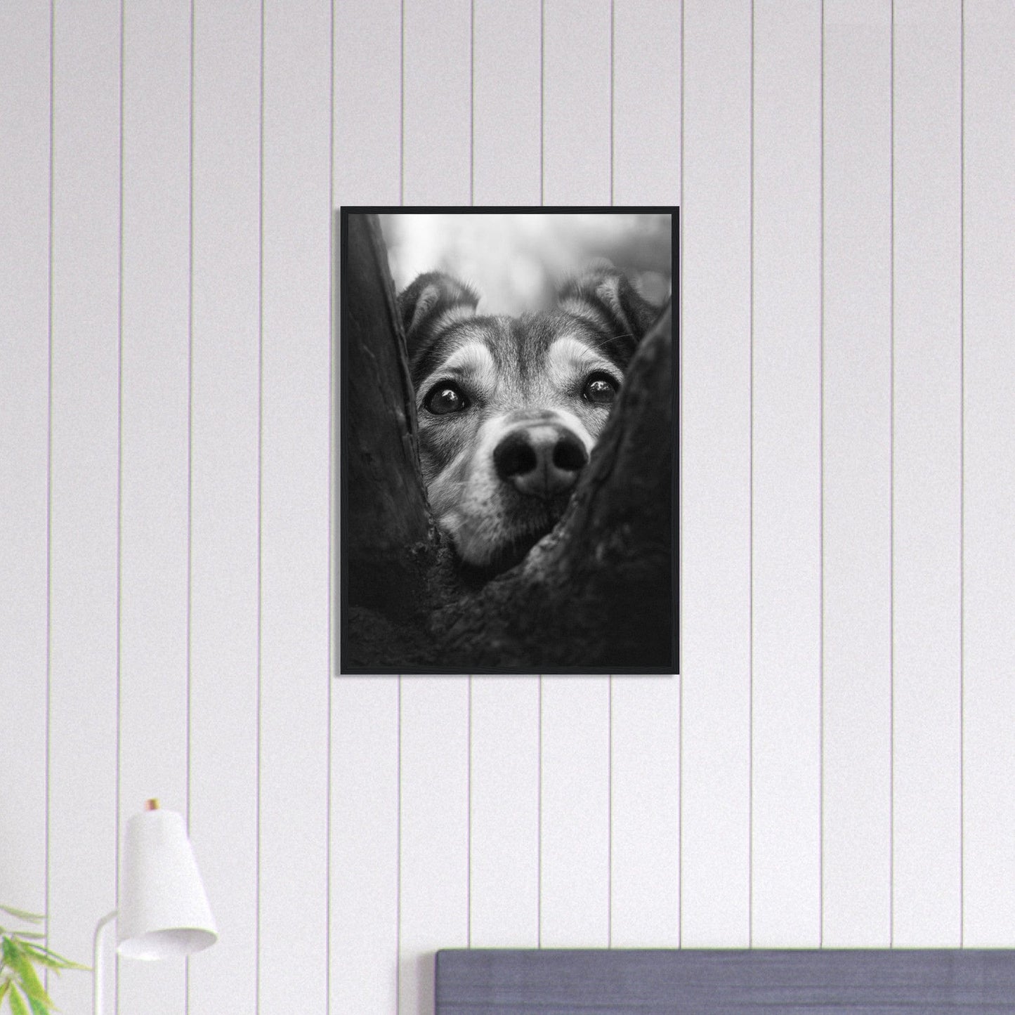Canvanation Print Material 50x70 cm / 20x28″ Tableau Photo Noir Et Blanc-Animaux-Chien