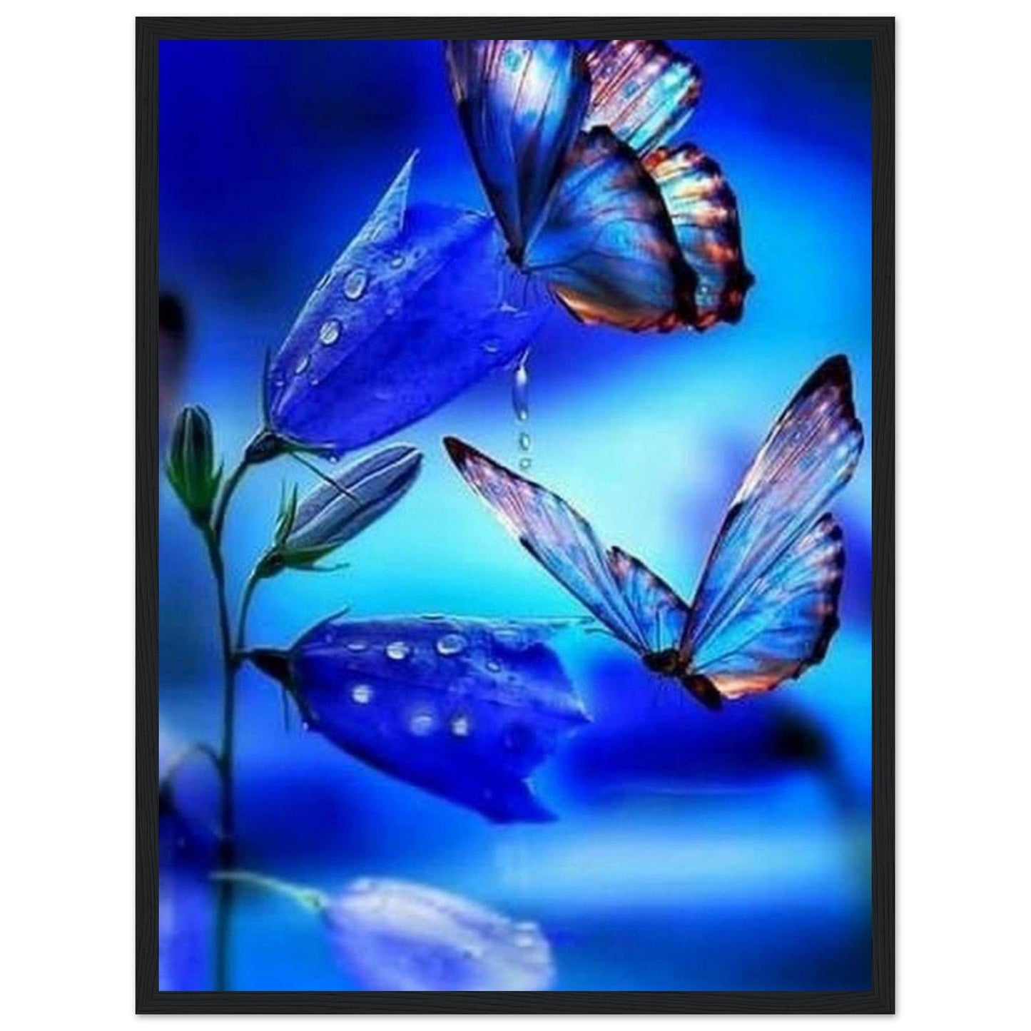 Gelato Print Material 45x60 cm / 18x24″ Tableau Avec Des Papillons