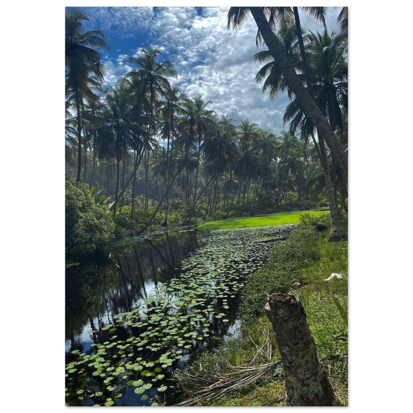 Gelato Print Material A0 (84.1 x 118.9  cm) Affiche Africain Lac Ghana