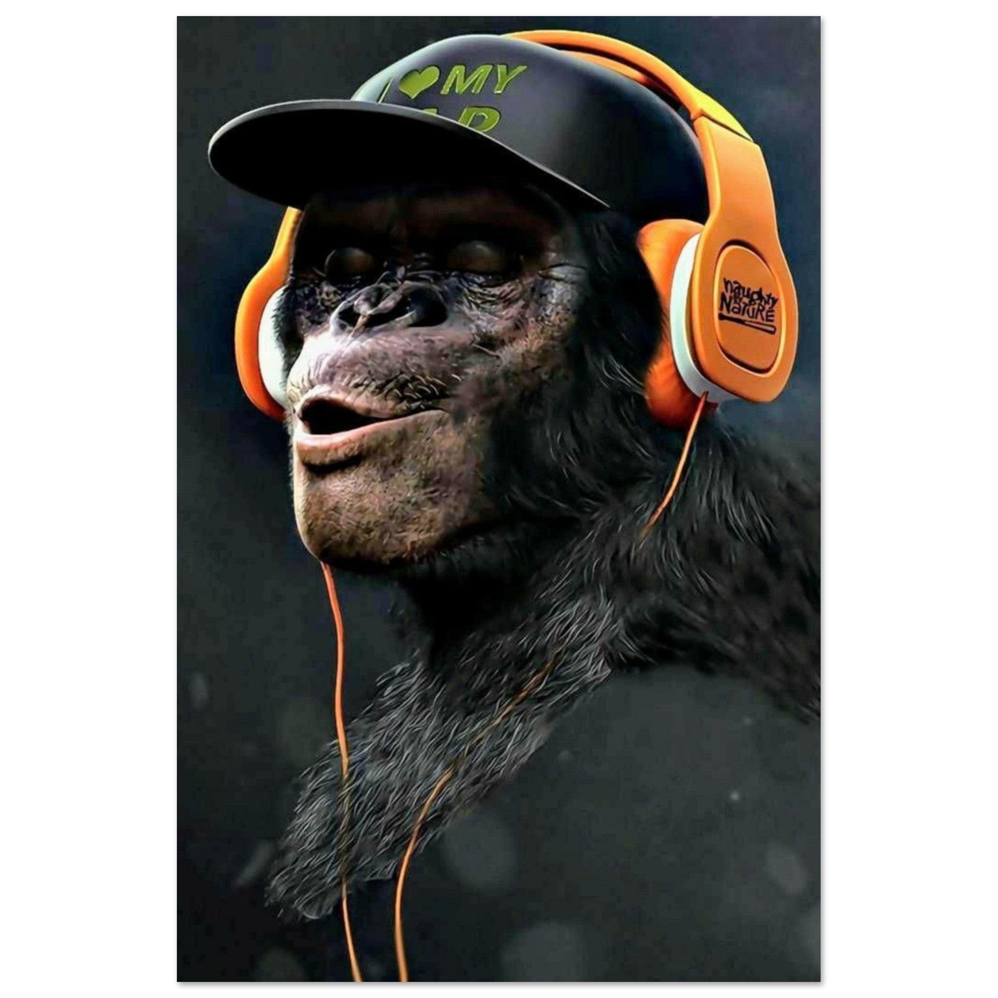 Canvanation Print Material 30x45 cm / 12x18″ Poster Singe Bonnet Casque