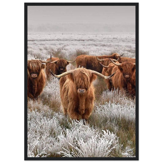 Canvanation Print Material 50x70 cm / 20x28″ Tableau Vache Couleur