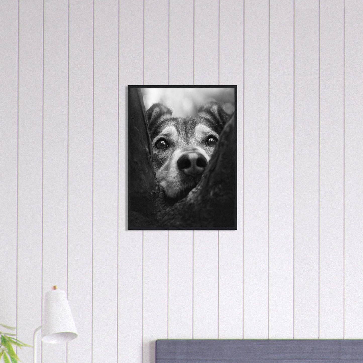 Canvanation Print Material 45x60 cm / 18x24″ Tableau Photo Noir Et Blanc-Animaux-Chien