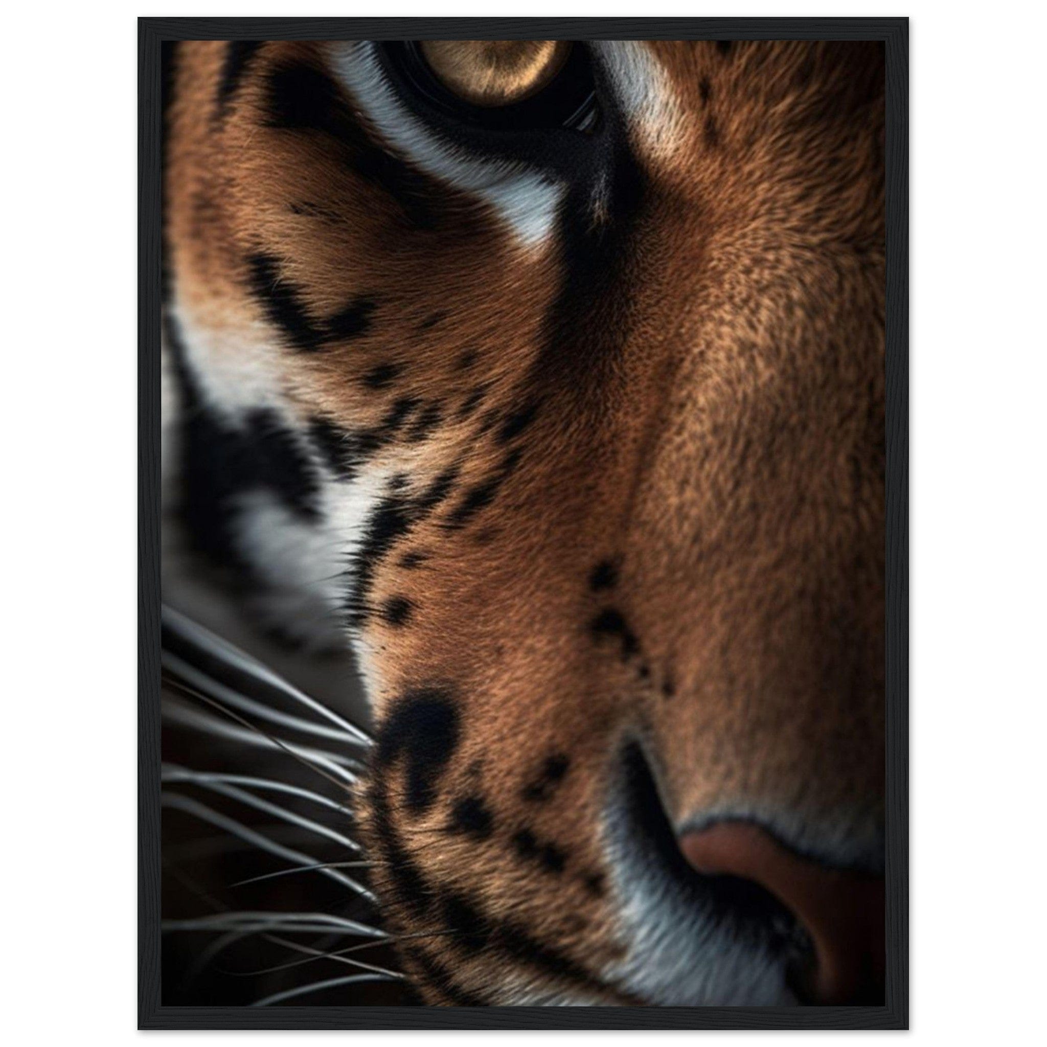 Canvanation Print Material 45x60 cm / 18x24″ Toile Tigre