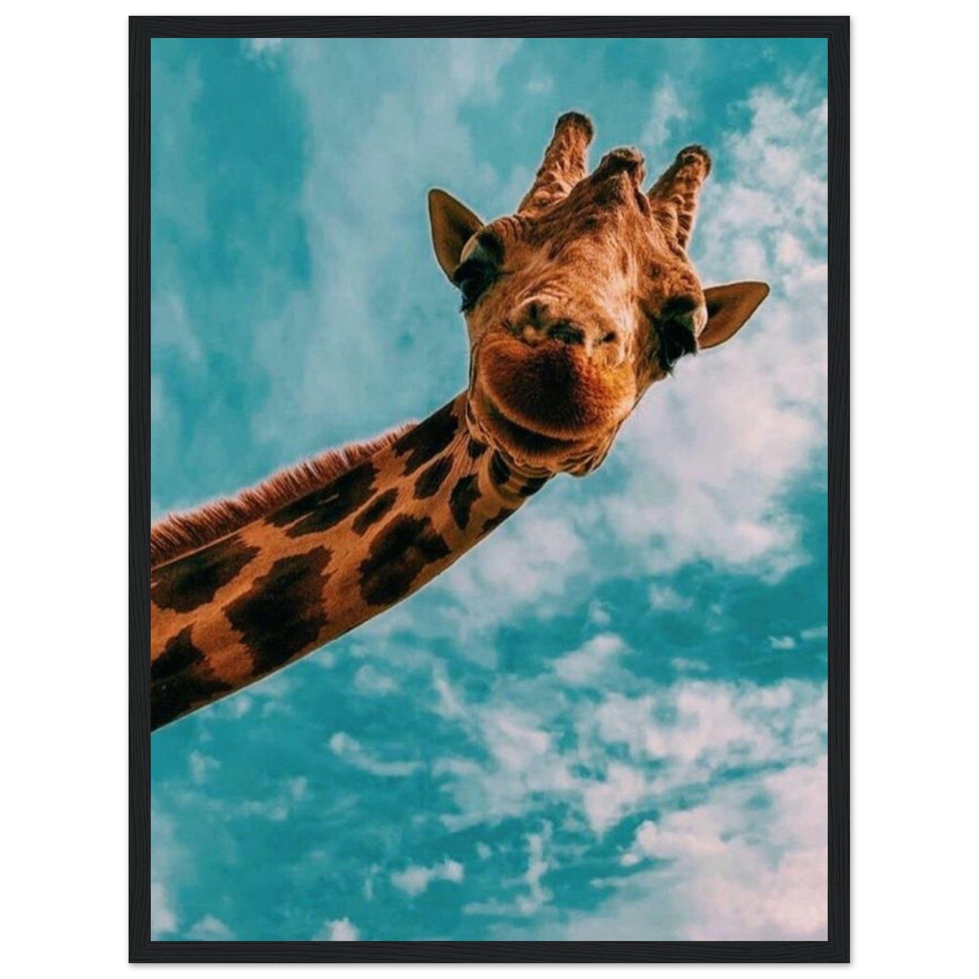 Gelato Print Material 45x60 cm / 18x24″ Cadre Girafe Couleur