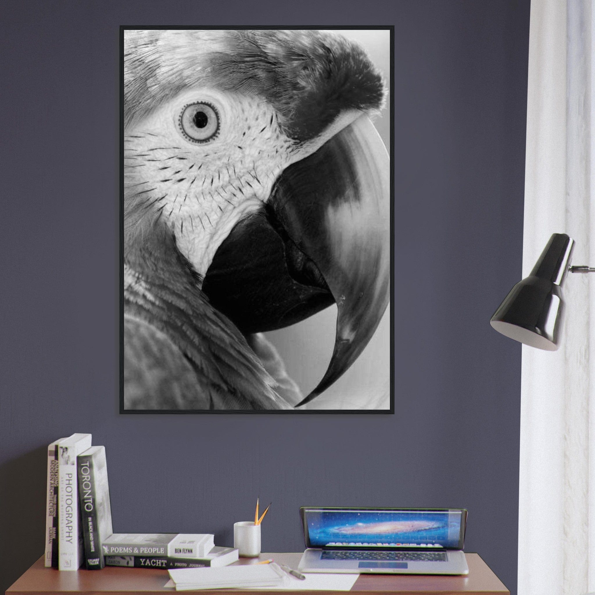 Canvanation Print Material Tableau Photo Noir Et Blanc-Animaux-Perroquet