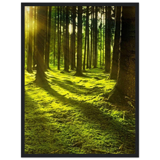 Canvanation Print Material 45x60 cm / 18x24″ Tableau Paysage Forêt