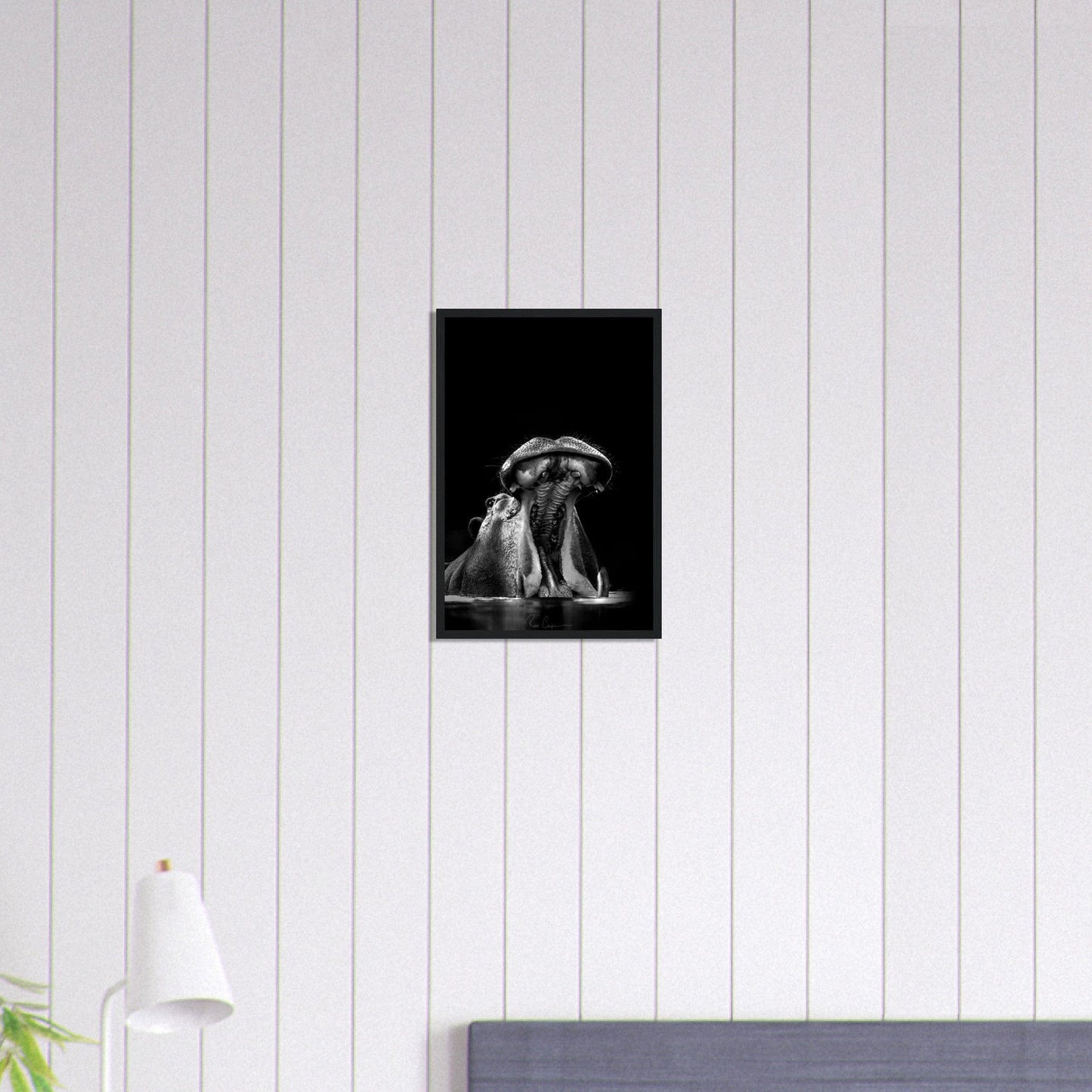 Canvanation Print Material 30x45 cm / 12x18″ Tableau Photo Noir Et Blanc-Animaux-Hippopotame