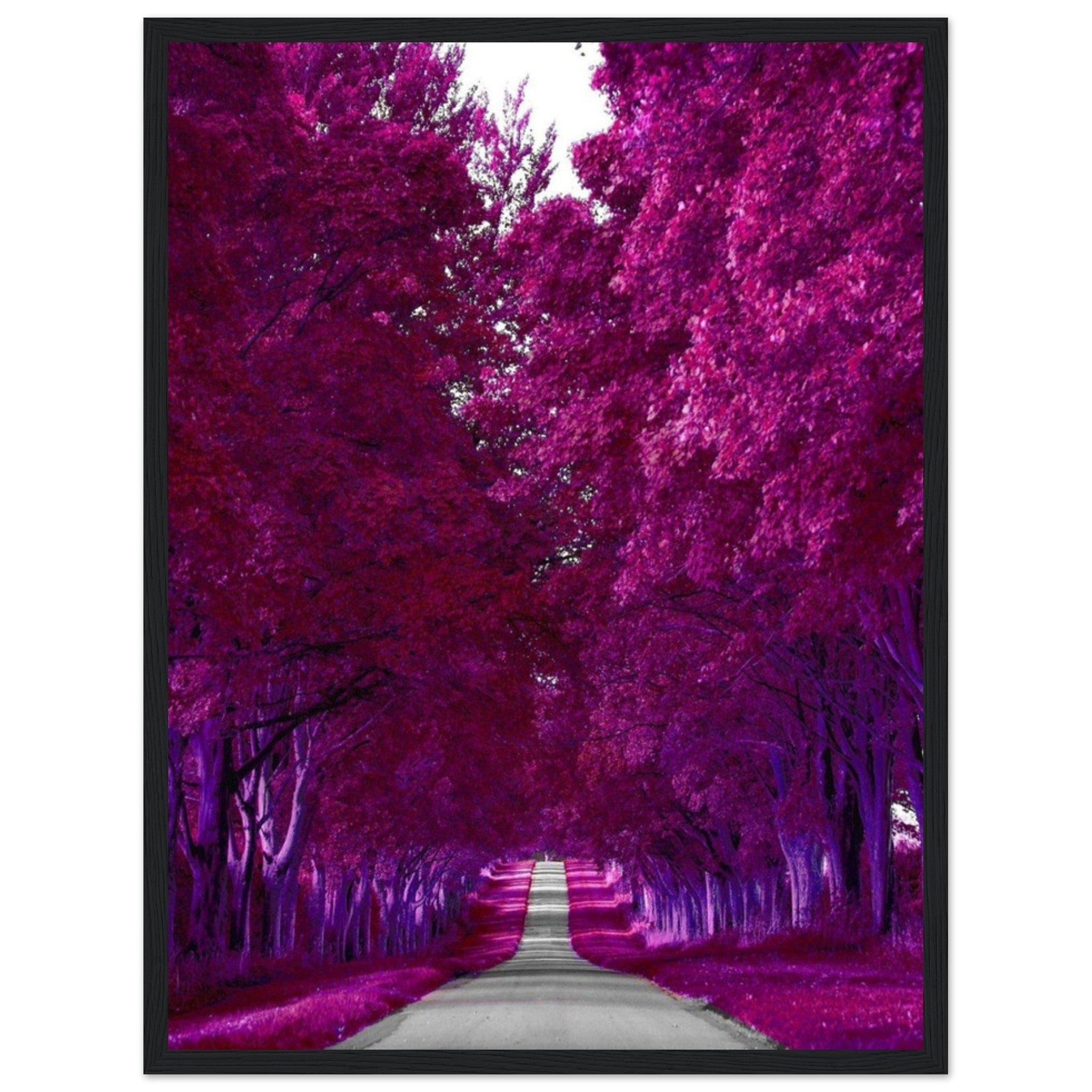 Canvanation Print Material 45x60 cm / 18x24″ Toile Forêt