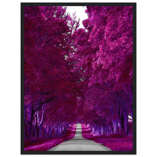 Canvanation Print Material 45x60 cm / 18x24″ Toile Forêt