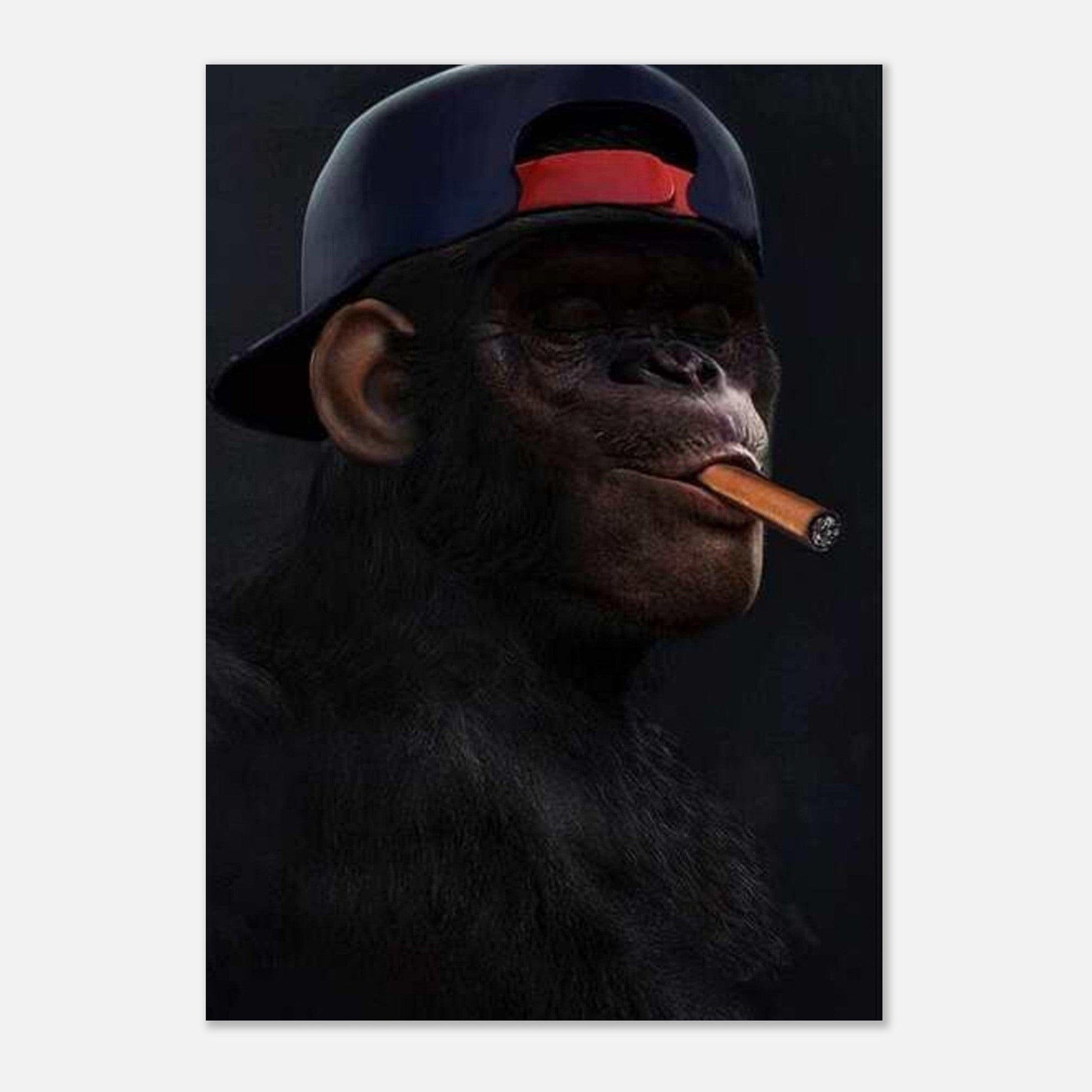 Canvanation Print Material Poster Singe Pop Art