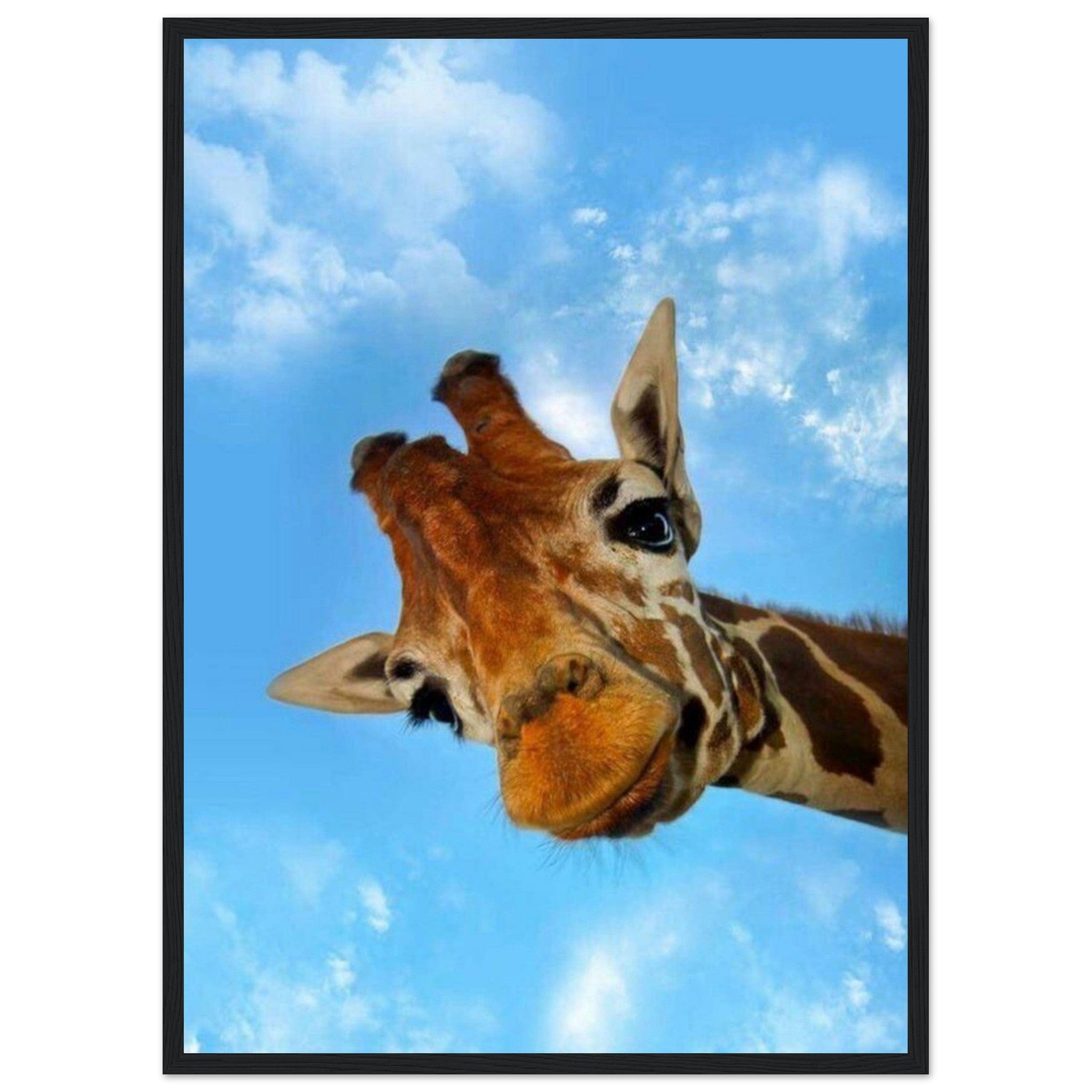 Gelato Print Material 50x70 cm / 20x28″ Cadre Girafe