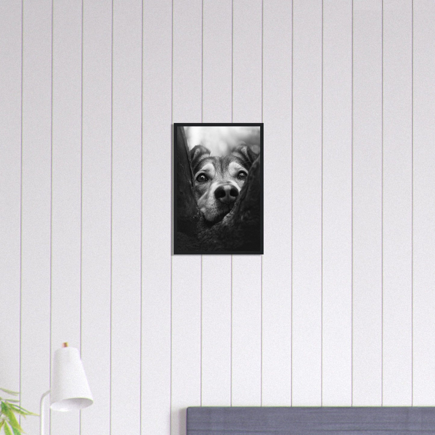 Canvanation Print Material 30x45 cm / 12x18″ Tableau Photo Noir Et Blanc-Animaux-Chien