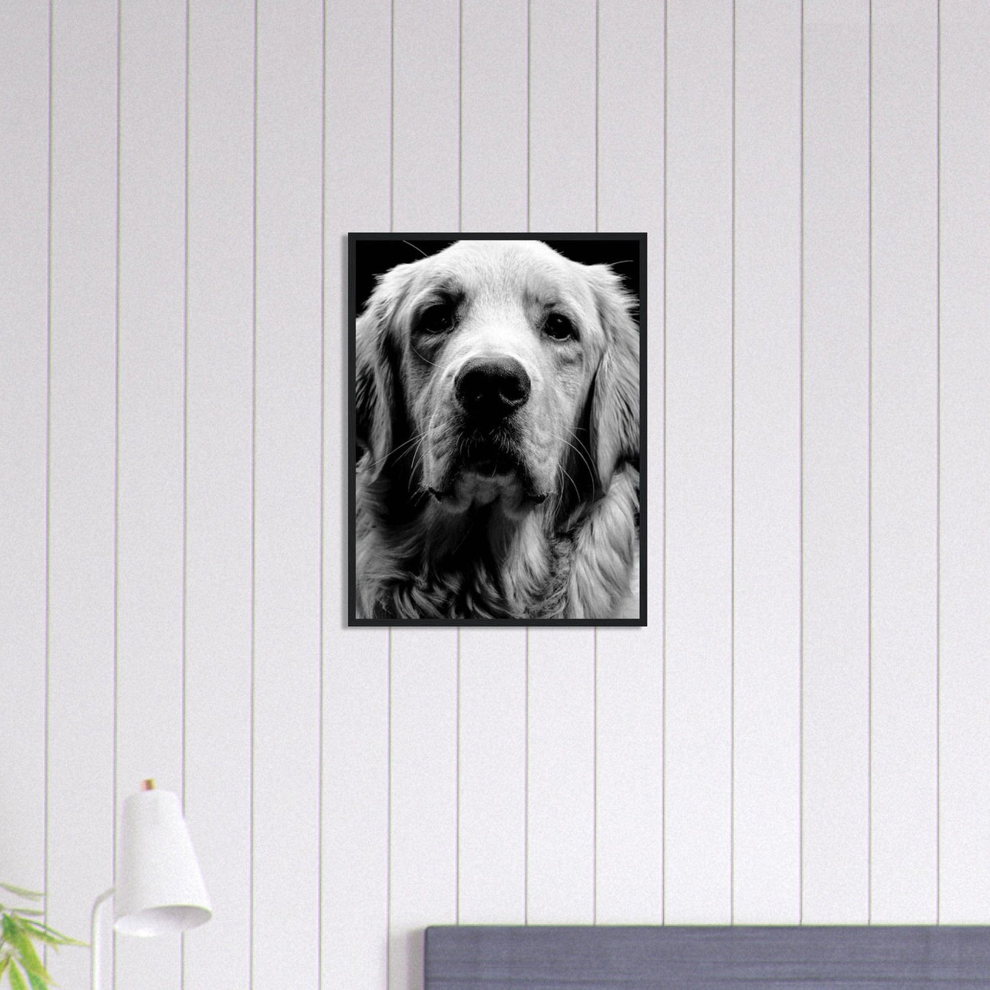 Canvanation Print Material 45x60 cm / 18x24″ Tableau Photo Noir Et Blanc-Animaux-Chien