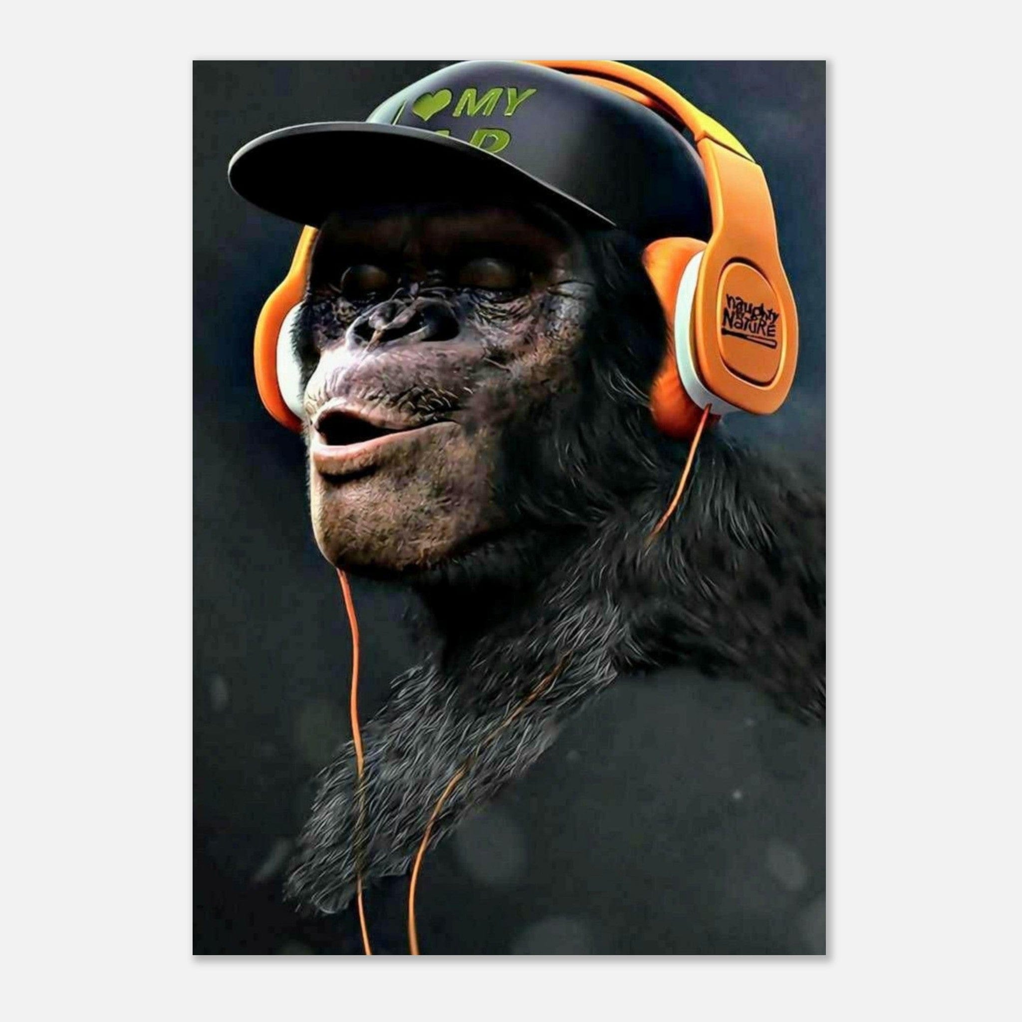 Canvanation Print Material Poster Singe Bonnet Casque