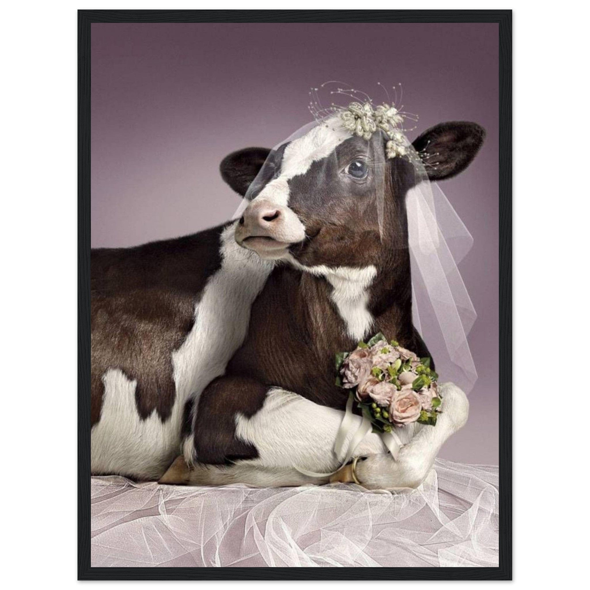 Canvanation Print Material 45x60 cm / 18x24″ Vache Tableau Drole