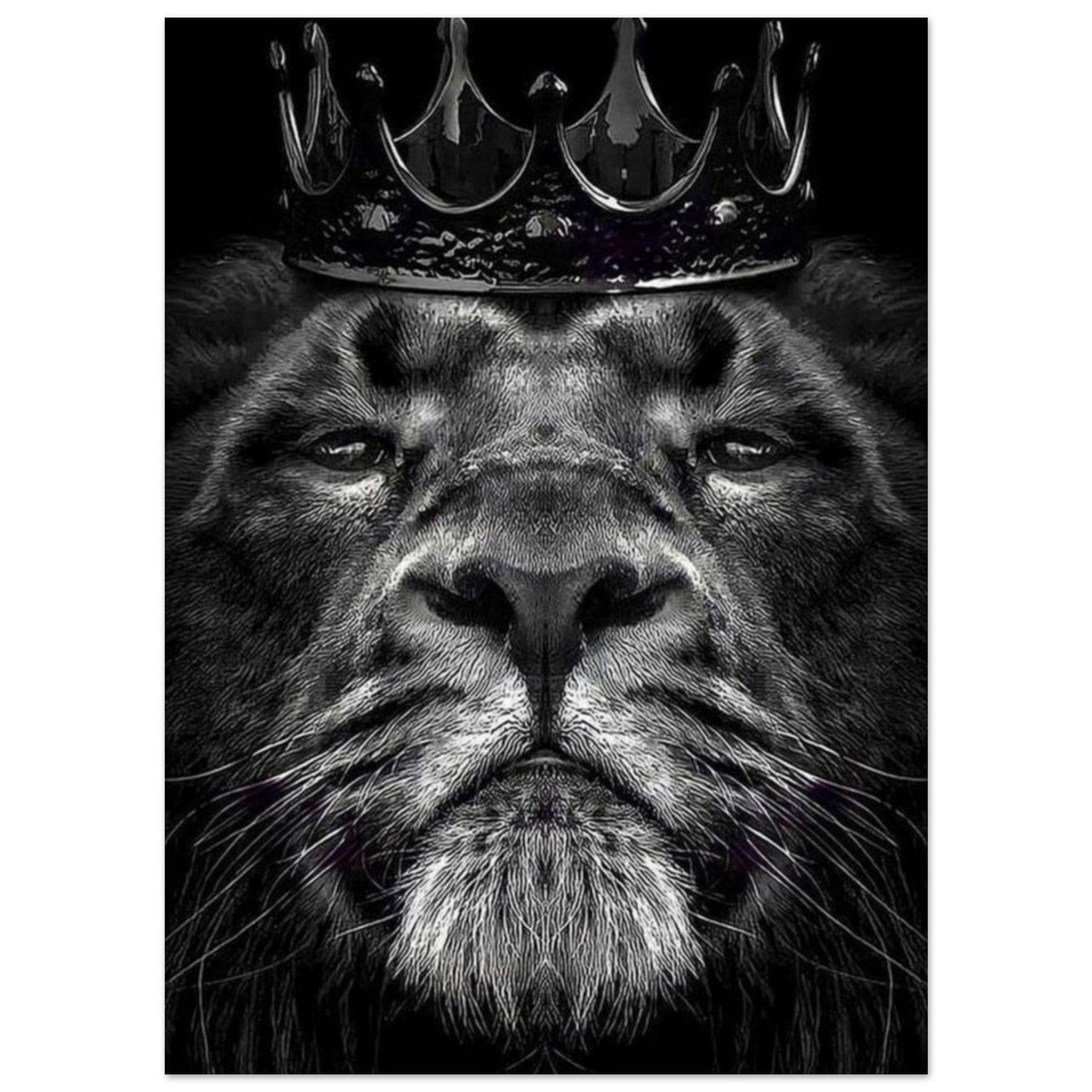Canvanation Print Material 13x18 cm / 5x7″ Poster Lion Courrone Noir Et Blanc