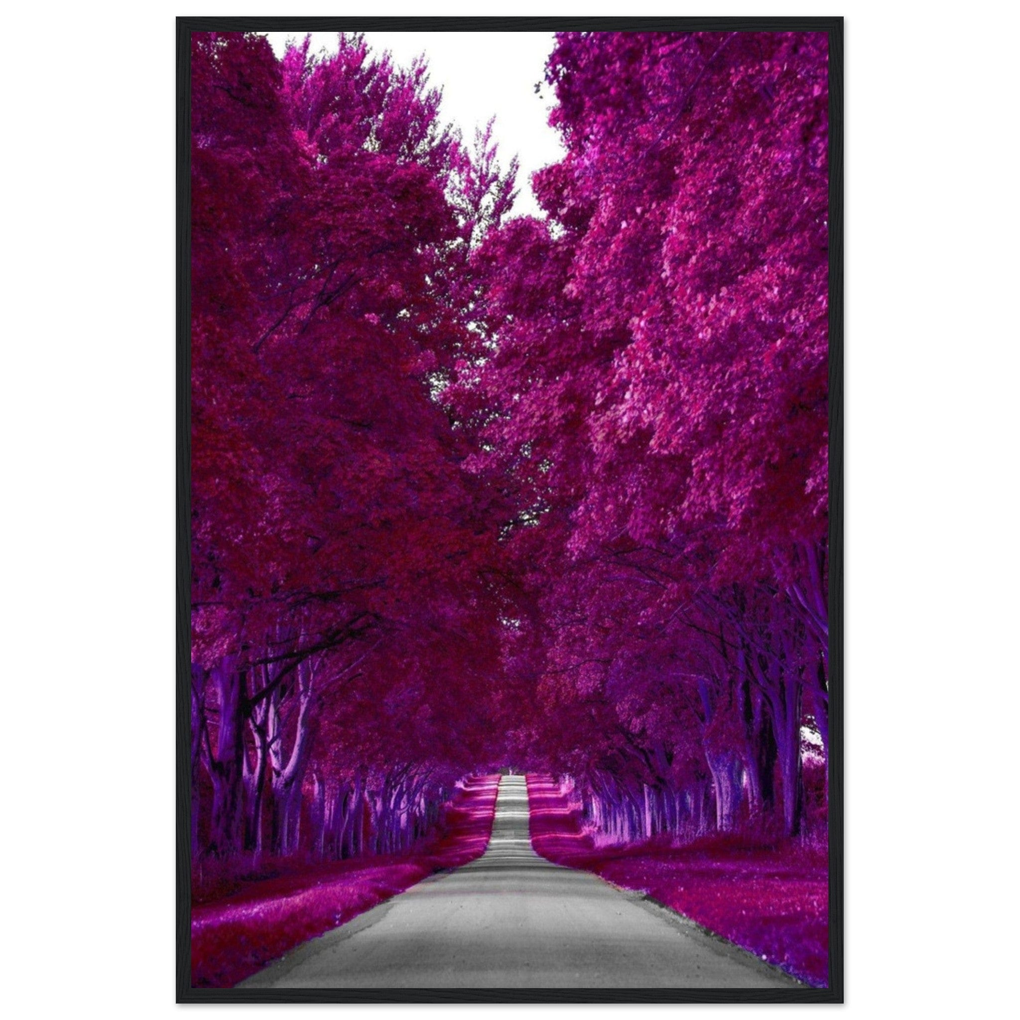 Canvanation Print Material 60x90 cm / 24x36″ Toile Forêt