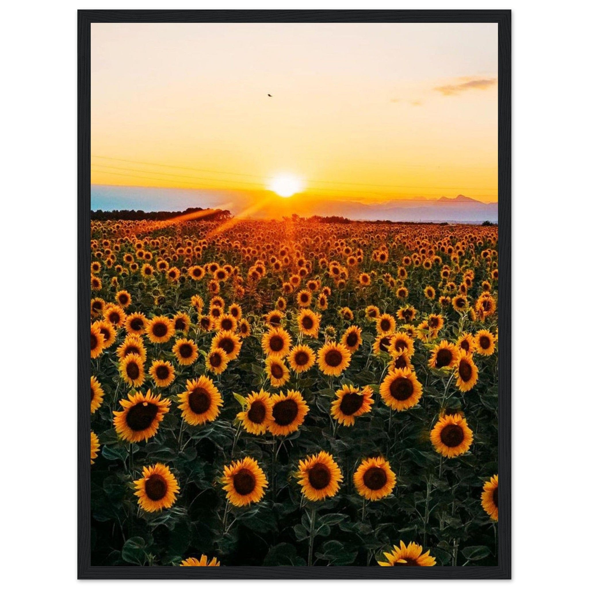 Gelato Print Material 45x60 cm / 18x24″ Peinture Tournesol Monet