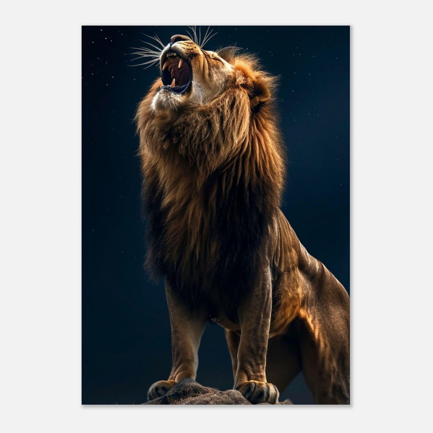 Canvanation Print Material Poster Lion Dans La Nuit