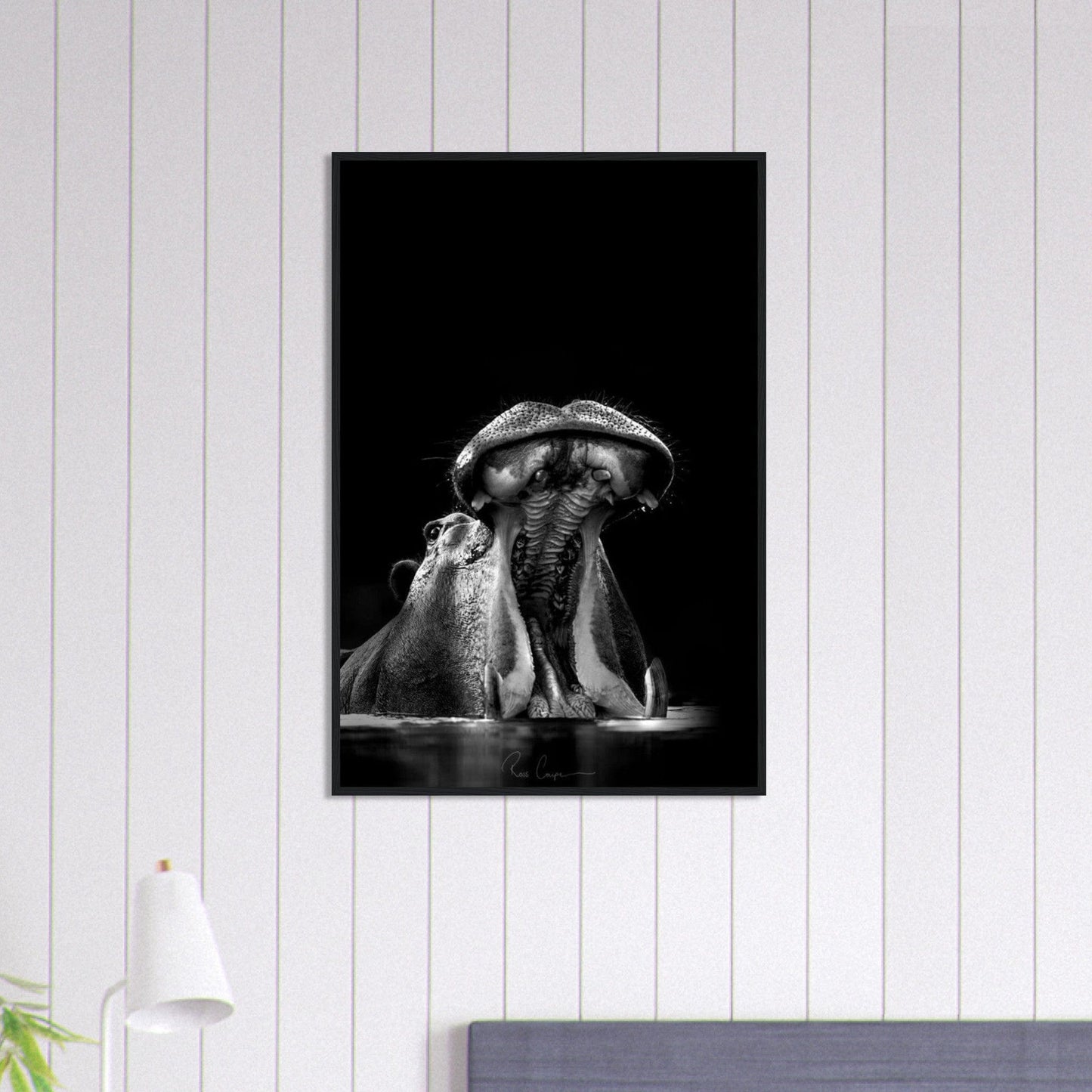 Canvanation Print Material 60x90 cm / 24x36″ Tableau Photo Noir Et Blanc-Animaux-Hippopotame