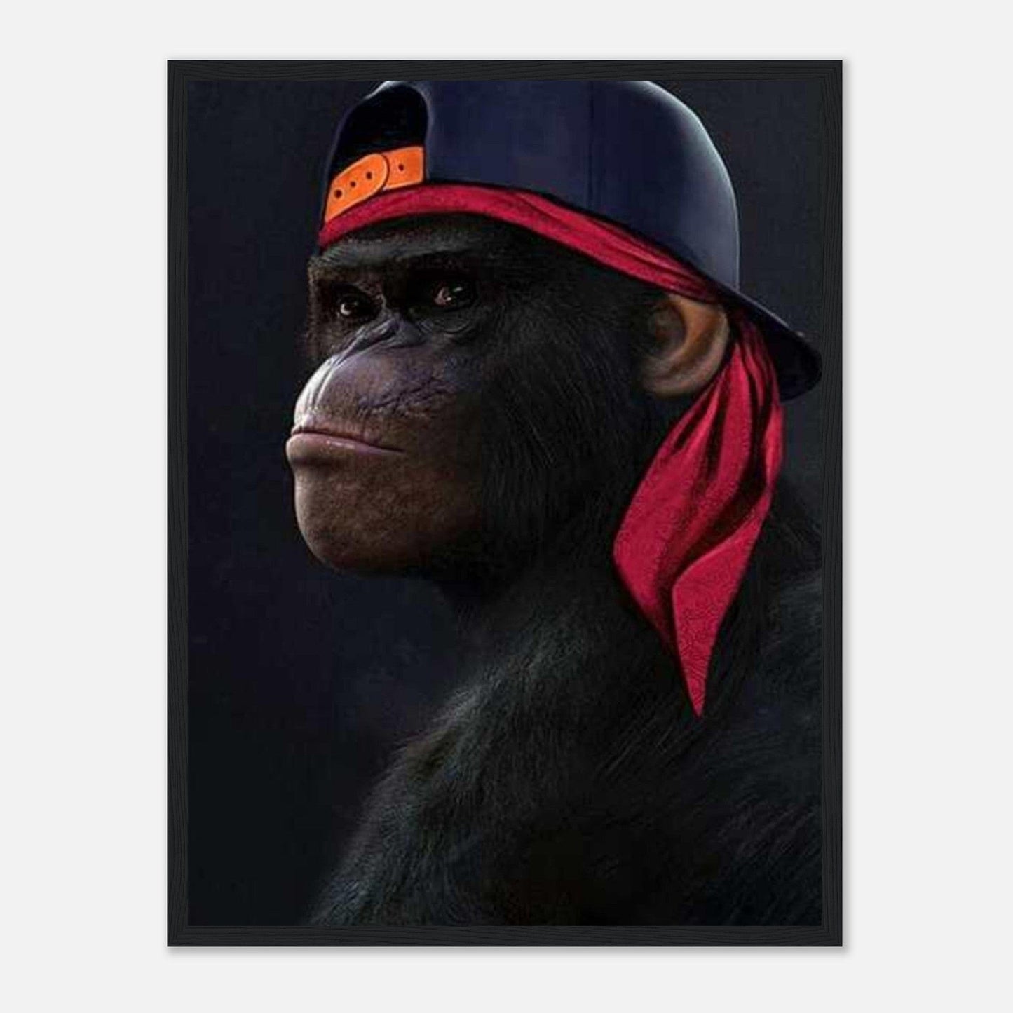 Canvanation Print Material 3 / Cadre noir / 45x60 cm / 18x24″ Tableau 3 singes