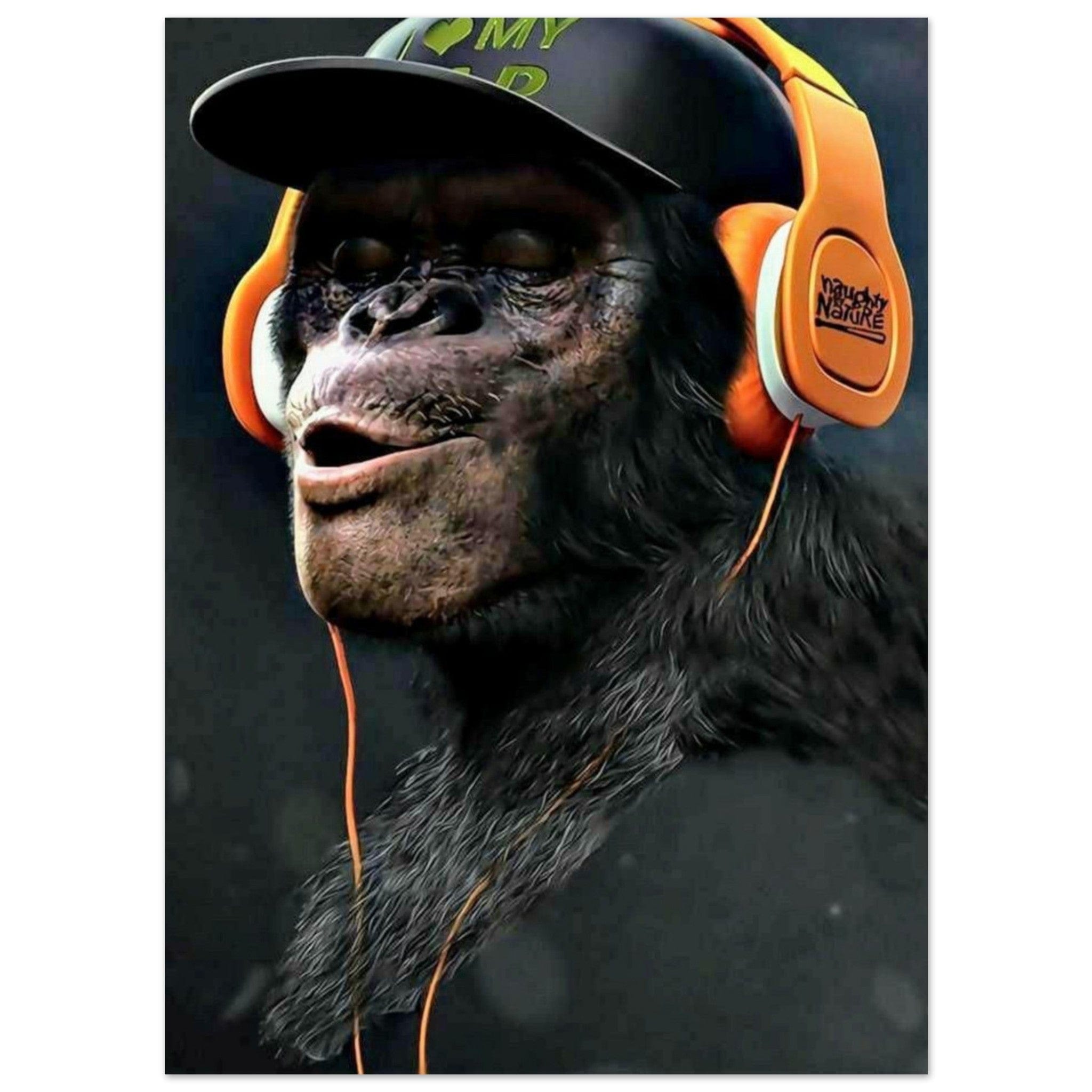 Canvanation Print Material 13x18 cm / 5x7″ Poster Singe Bonnet Casque