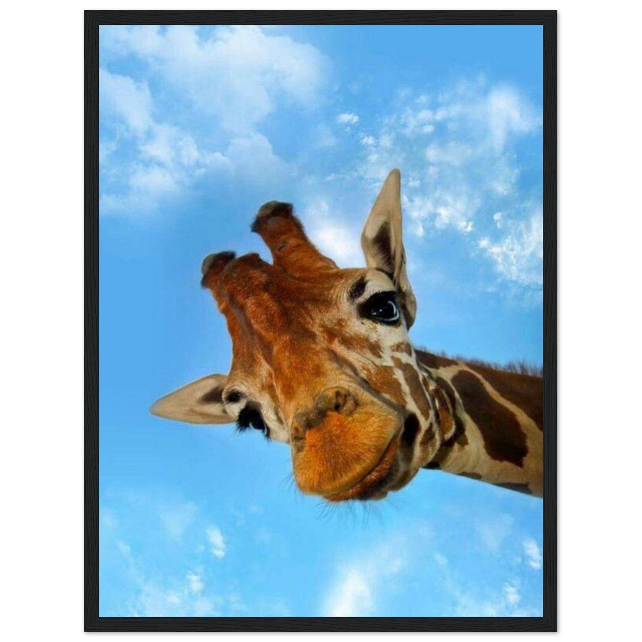Gelato Print Material 45x60 cm / 18x24″ Cadre Girafe