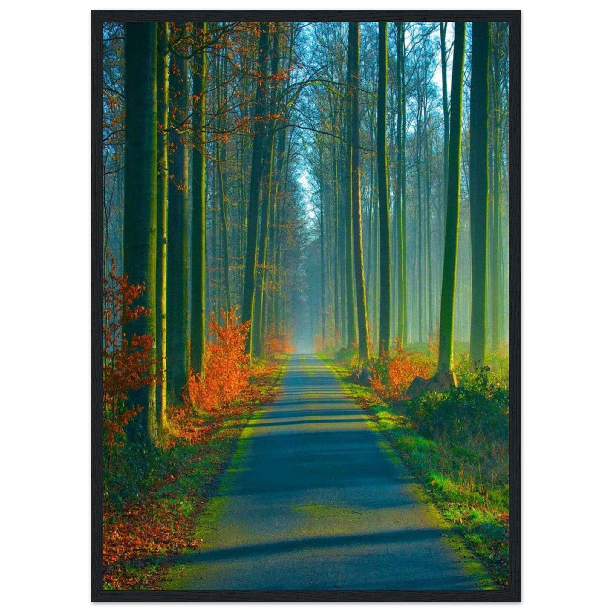 Canvanation Print Material 50x70 cm / 20x28″ Peinture Forêt