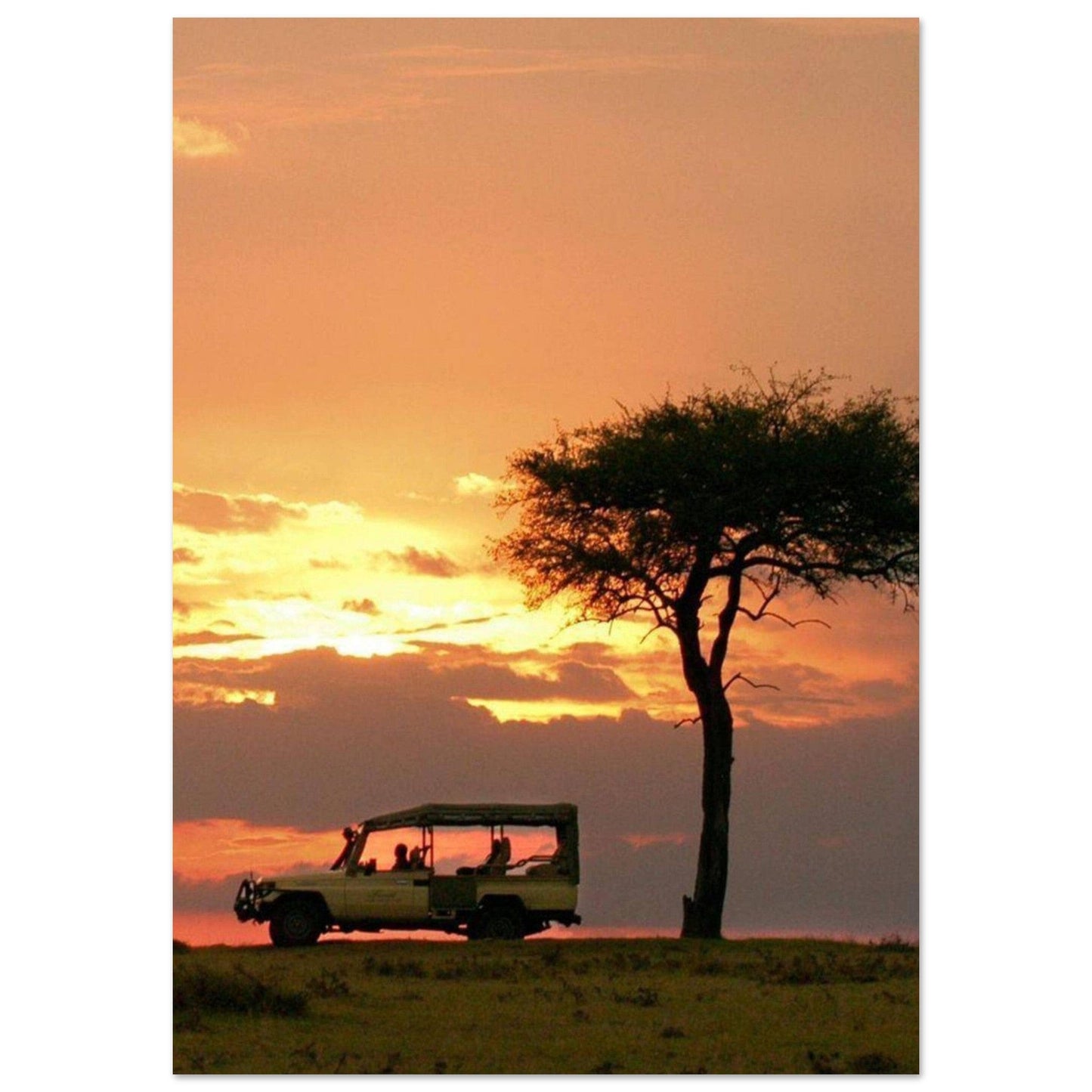 Gelato Print Material A1 (59.4 x 84.1  cm) Tableau Africain Safari