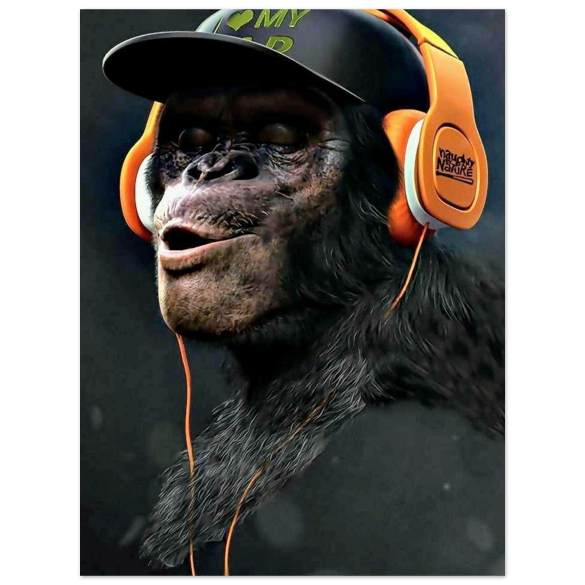 Canvanation Print Material 45x60 cm / 18x24″ Poster Singe Bonnet Casque
