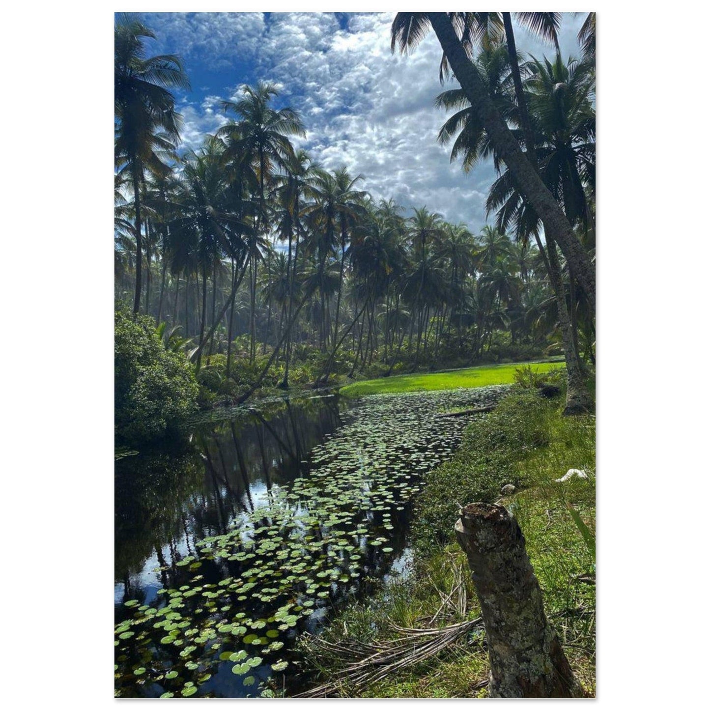 Gelato Print Material 70x100 cm / 28x40″ Affiche Africain Lac Ghana