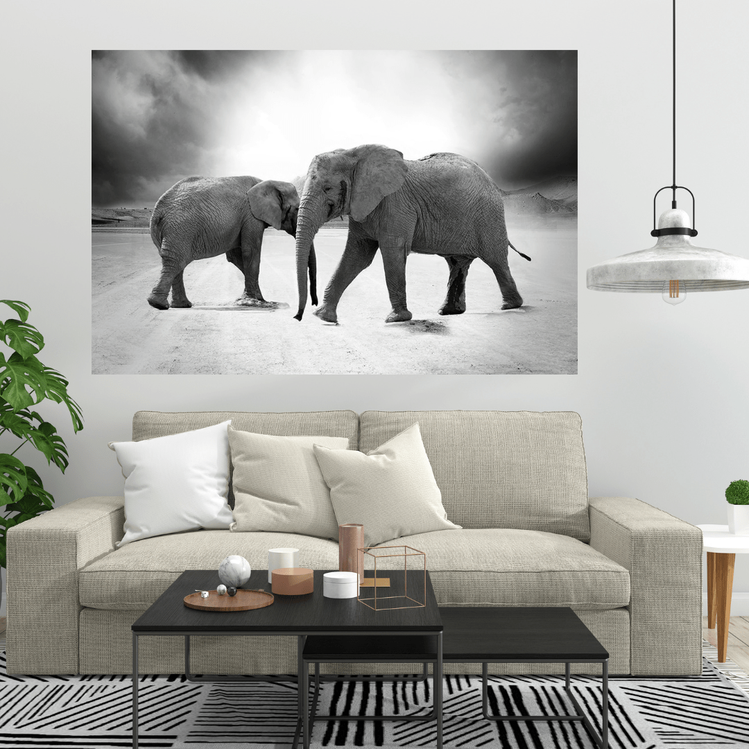 Canvanation Poster Avec 2 Elephants