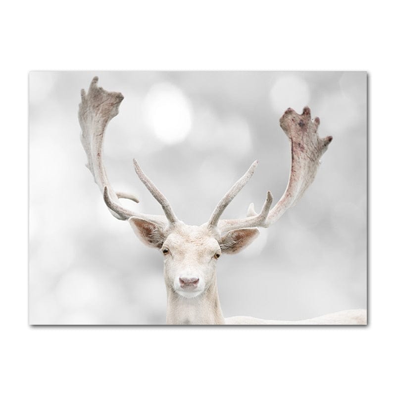 Canvanation 50x75cm / 2 Cadre De Cerf