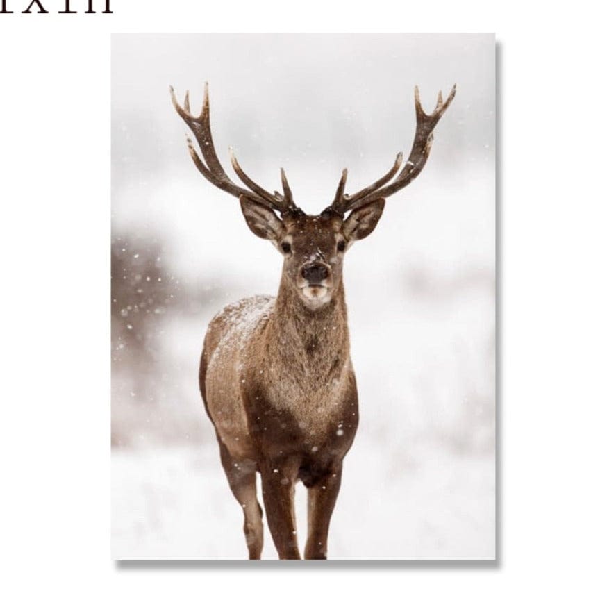 Canvanation 40x60cm Grande Affiche Cerf