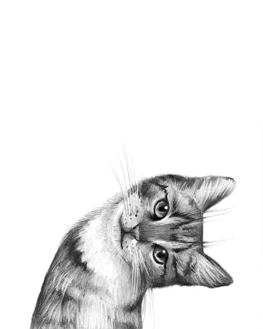 Canvanation 50X75cm / MX385-C Peintures Chats Stylisés