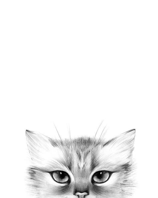 Canvanation 50X75cm / MX385-A Peintures Chats Stylisés