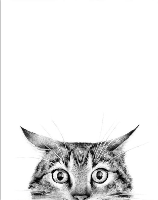 Canvanation 50X75cm / MX385-B Peintures Chats Stylisés