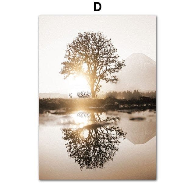 Canvanation 50x75cm Affiche Arbre En Afrique